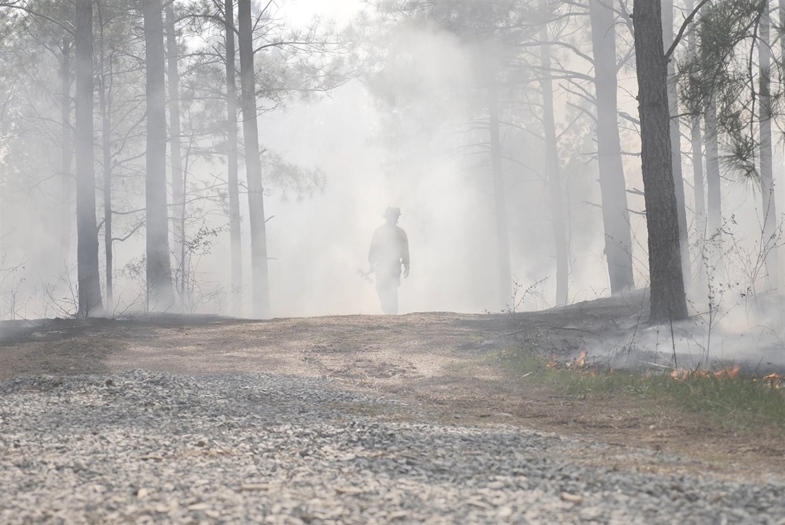 Fireman Walking Through Woods That Were Recently On Fire