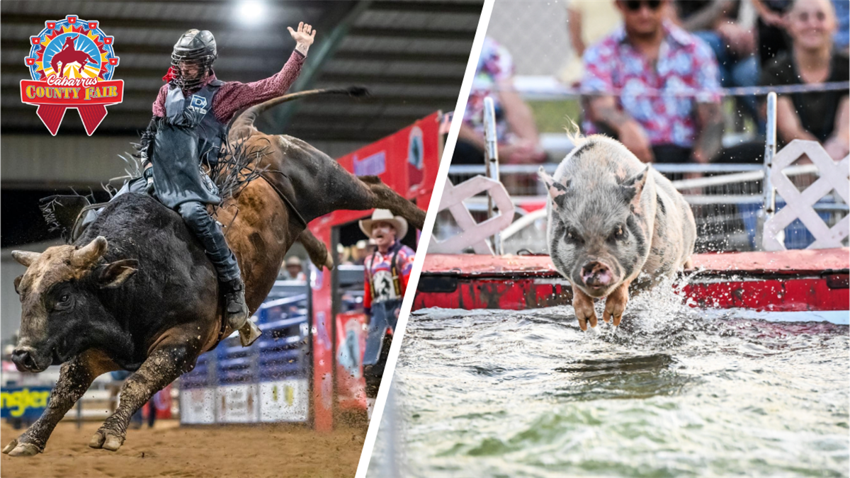 Fair Rodeo Picture Cabarrus County Fair & Rodeo Cabarrus County