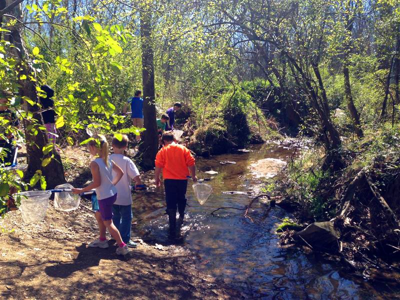 Kids Near a Creek with Nets