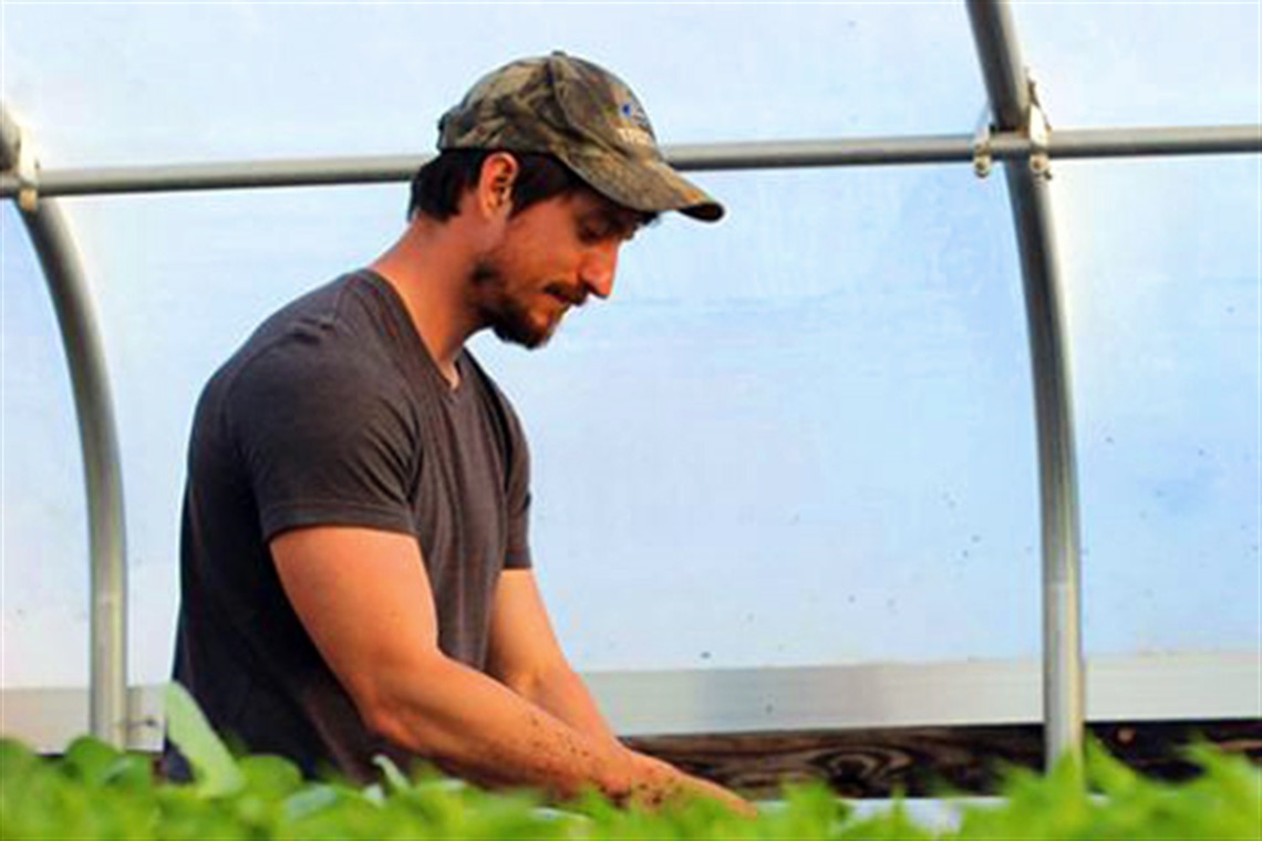 Man in a Greenhouse Tending to Plants