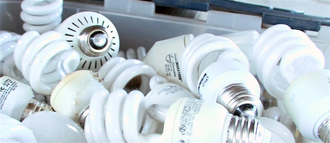 Cpntainer of Spiral CFL Lightbulbs Being Recycled